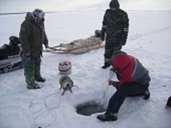 Отчет североморской рыбоохраны за две недели декабряСотрудниками Североморского ТУ Росрыболовства с 04 по 17 декабря проведено 31 контрольное (надзорное) мероприятие, в результате выявлено 19 нарушений в области рыболовства и сохранения среды обитания водных биоресурсов.
