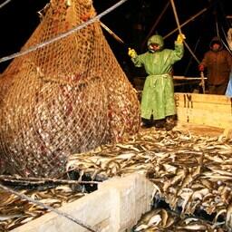 «Рыбную» правкомиссию ждет преобразование
