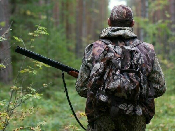 В Красноярске решают, как уменьшать численность медведей и волковКрасноярские депутаты обсудили региональные аспекты действия закона об охоте.