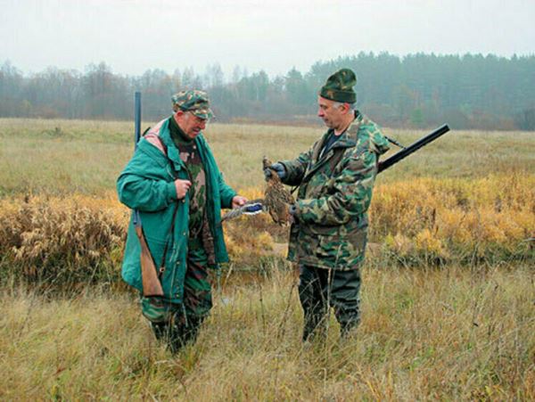 В Белгороде из-за запрета на охоту уменьшилось браконьерствоВременный запрет на охоту в регионе действует с 2022 года, пока введен режим СВО.